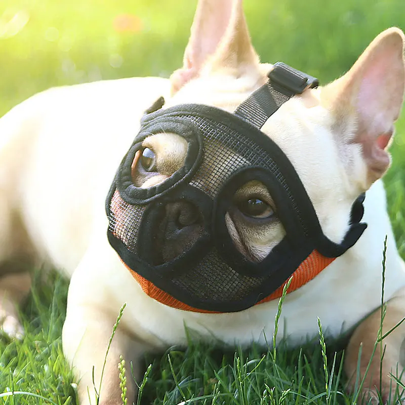 Breathable Pet Muzzle For Small Dogs – Lightweight, Comfortable Basket Muzzle For French Bulldogs & Other Brachycephalic Breeds 1