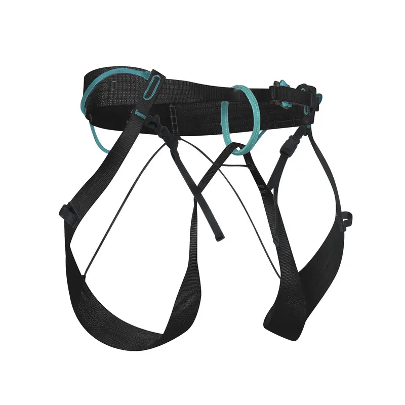Choucas Adjustable Safety Harness System 1