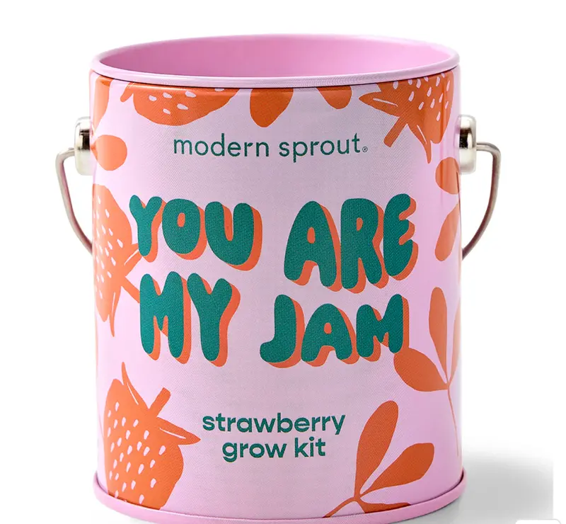 Colorful Grow-Your-Own Kit With Complimentary Seed Packets 1