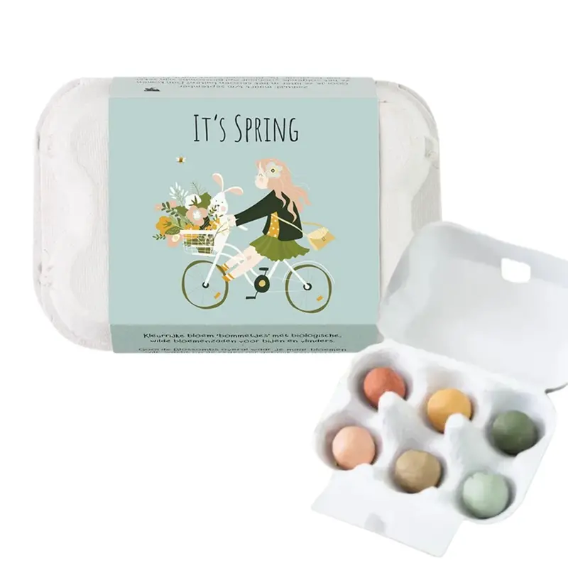 Eco-Friendly Egg Carton Seed Starter Kit 1