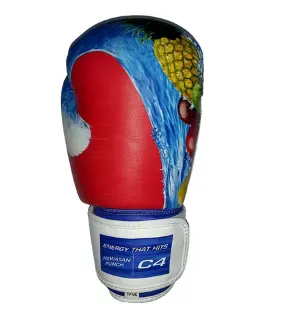 Embroidered Boxing Gloves 1