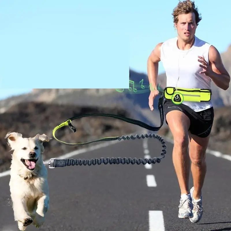 Hands-Free Bungee Dog Leash – Adjustable Waist Belt With Shock-Absorbing Design For Running 1