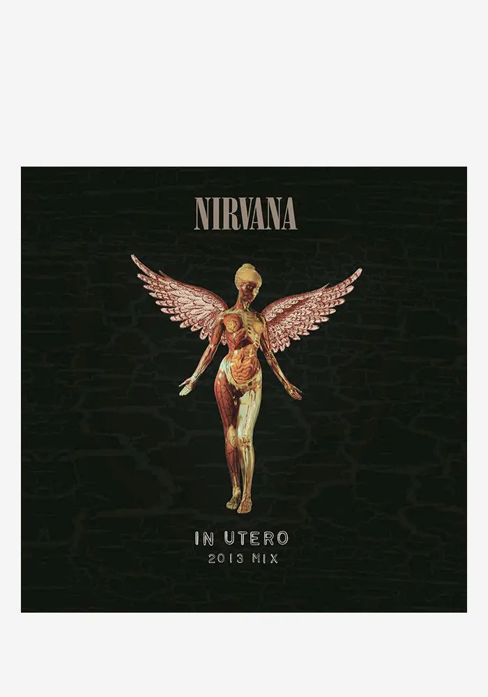In Utero: 20Th Anniversary Double Lp Vinyl Set 1