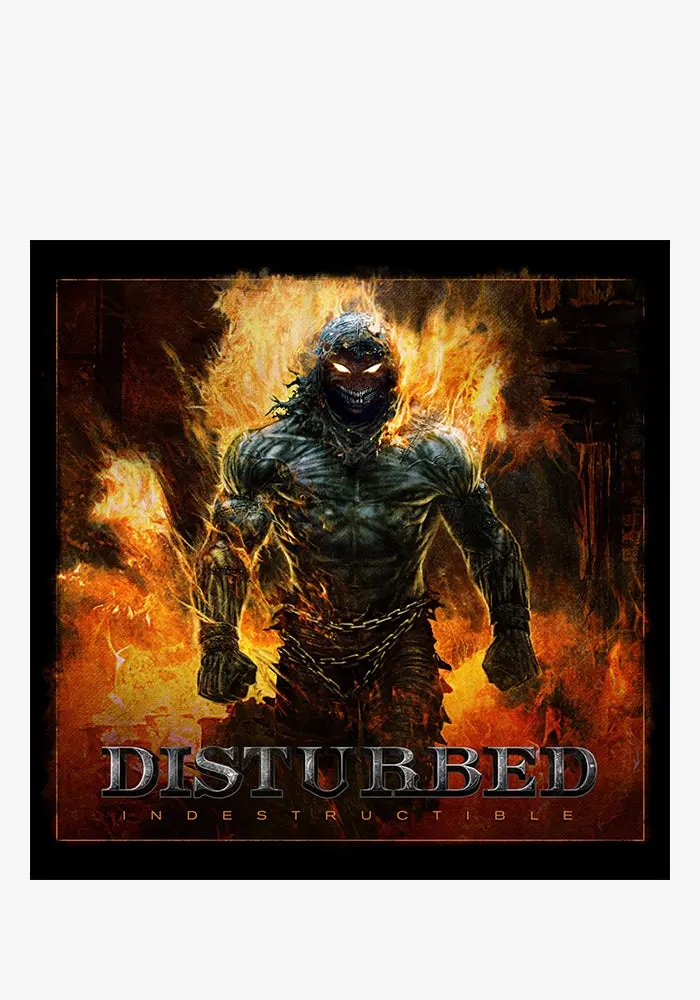 Indestructible – Vinyl Lp Release 1