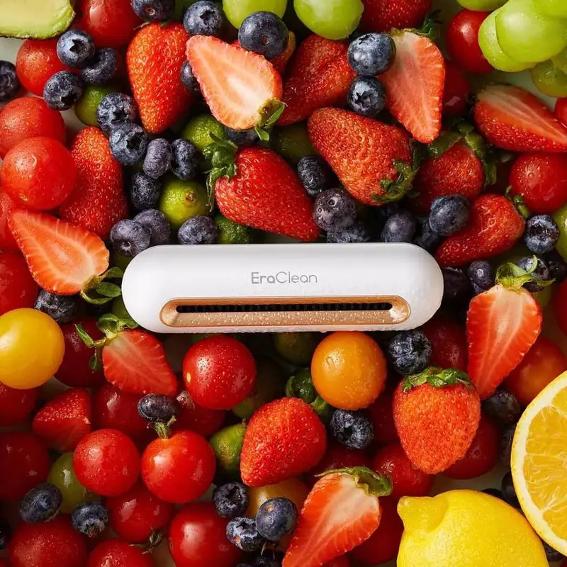 Ozone-Based Refrigerator Deodorizer And Sanitizer 1