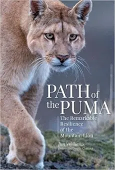 Path Of The Puma – Nature-Inspired Activewear Line 1