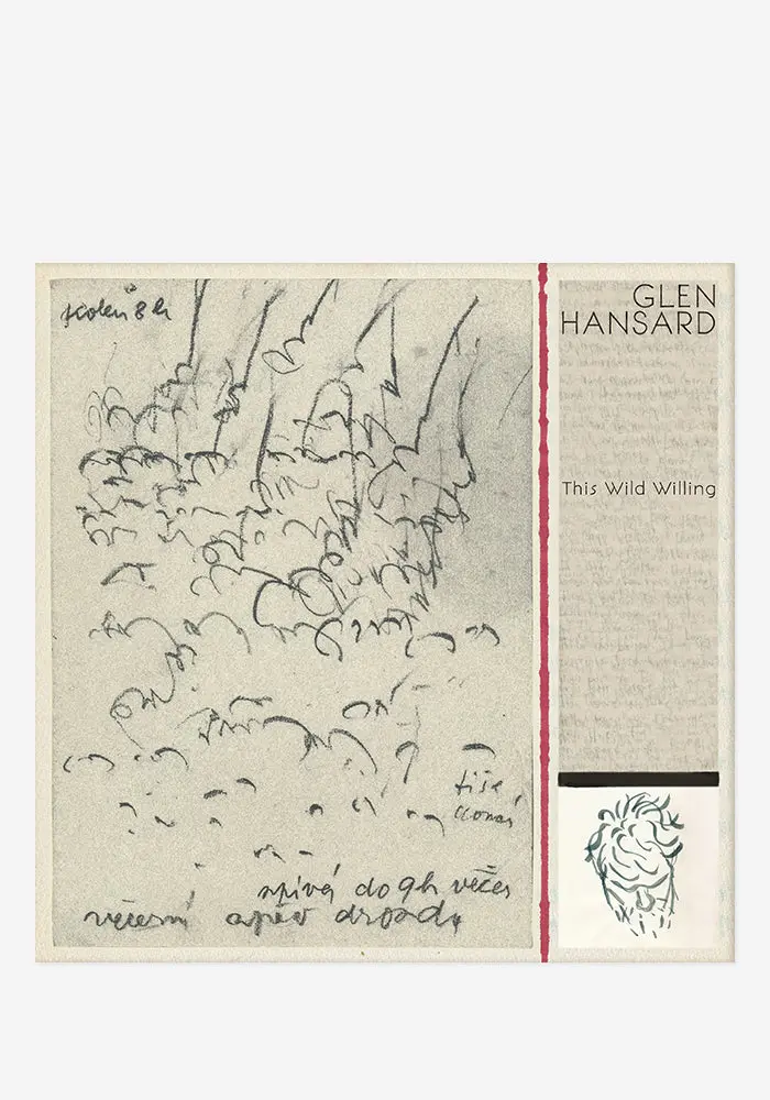 This Wild Willing Cd + Signed Booklet – Experimental Folk Album By Glen Hansard 1