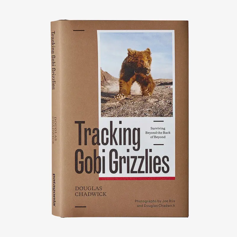 Tracking Gobi Desert Grizzly Bears 1