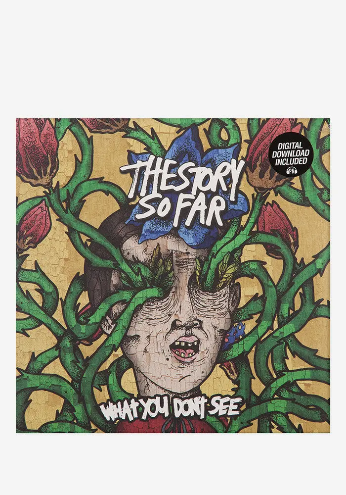 What You Don'T See Vinyl Lp Record 1